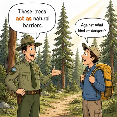 act as karikatür
