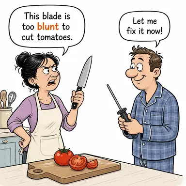 blunt karikatür