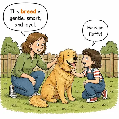 breed karikatür