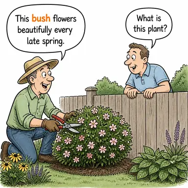 bush karikatür