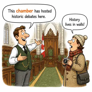chamber karikatür